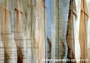 anita snik-broeken, digitaal collage, zeven vaandels op een rij